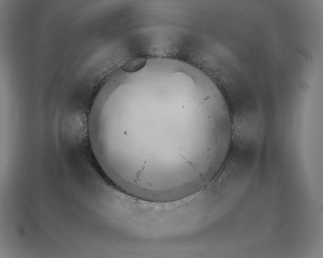 X0000115280043200911131838