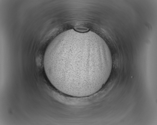 X0000115280044200911131838