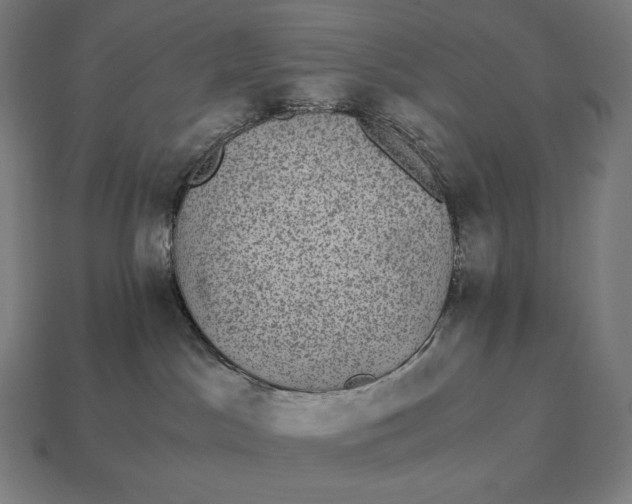 X0000115280045200911131838