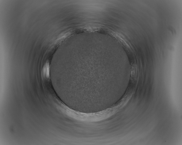 X0000115280046200911131838