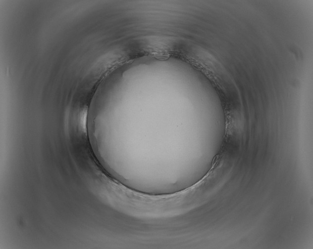 X0000115280047200911131838