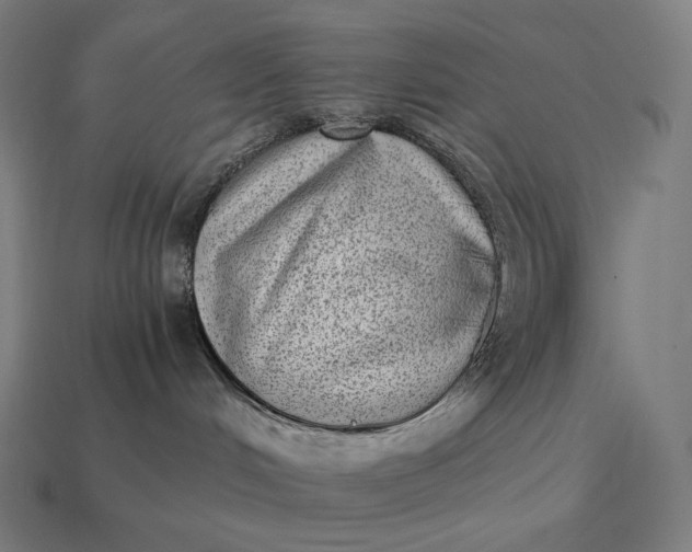 X0000115280048200911131838