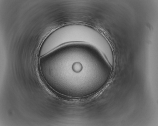 X0000115280049200911131837