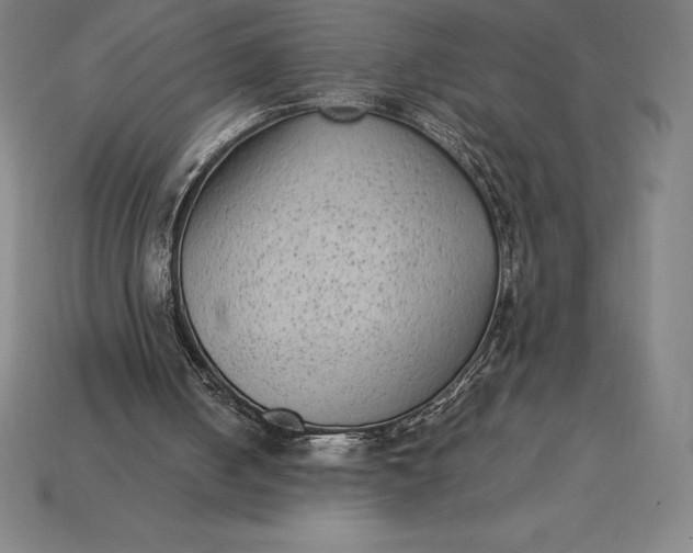 X0000115280050200911131837