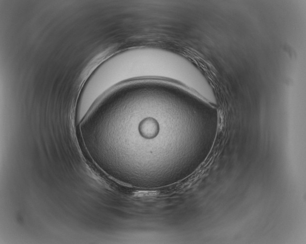 X0000115280051200911131837