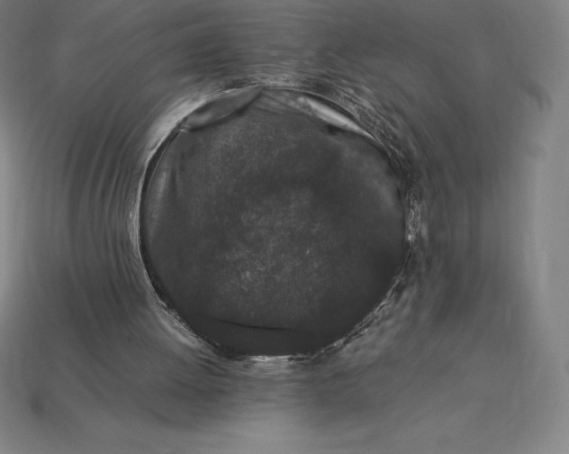 X0000115280052200911131837