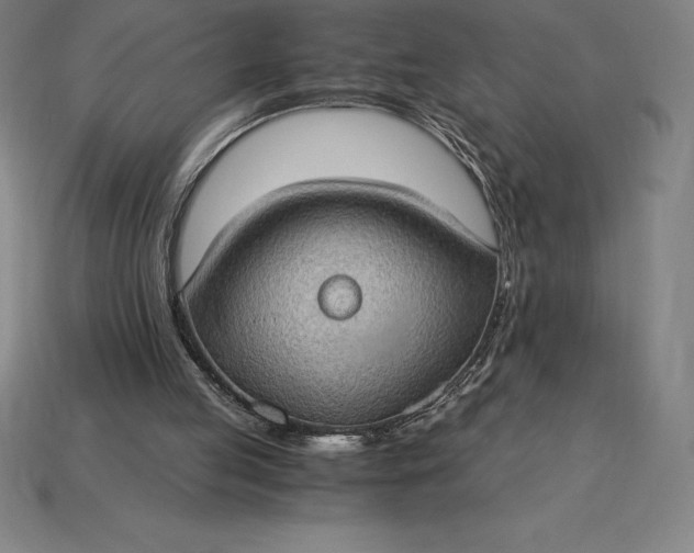 X0000115280053200911131837