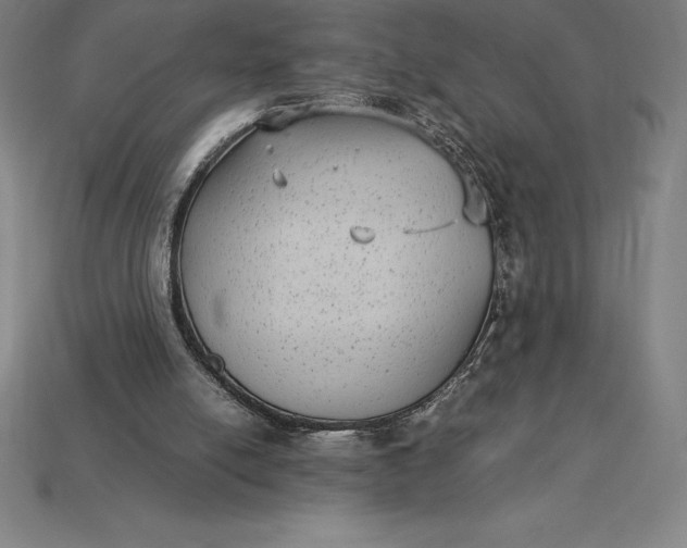 X0000115280054200911131837