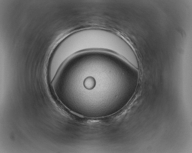 X0000115280055200911131837