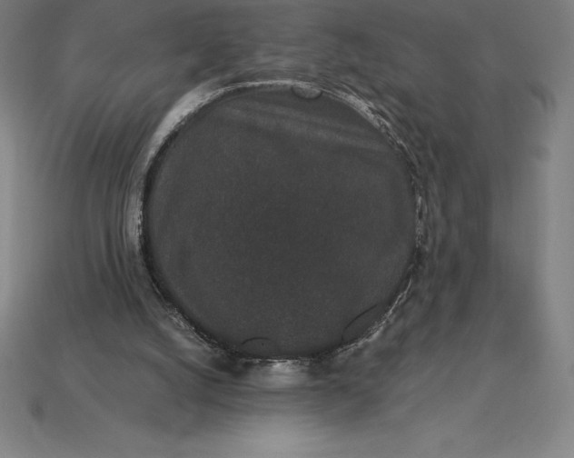 X0000115280056200911131837