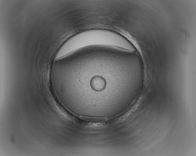 X0000115280057200911131837