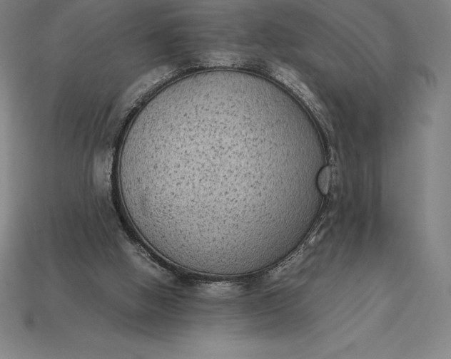 X0000115280058200911131837