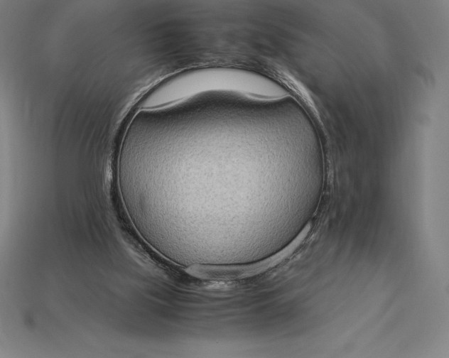 X0000115280059200911131837