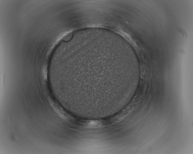 X0000115280060200911131837