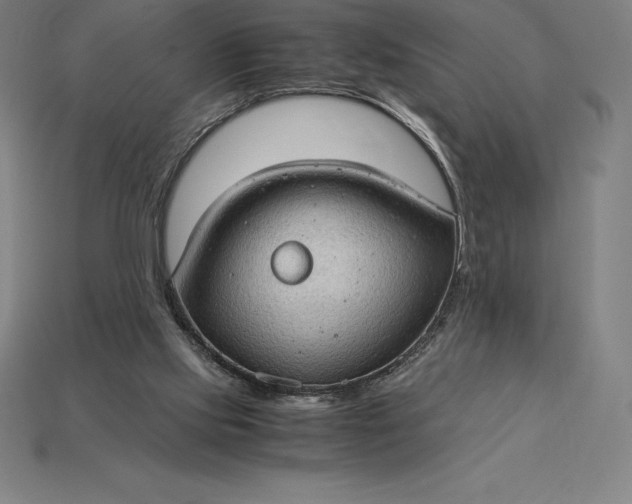 X0000115280061200911131837