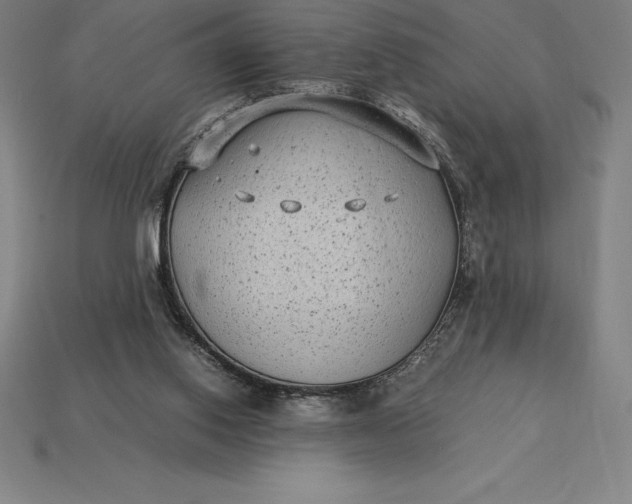 X0000115280062200911131837