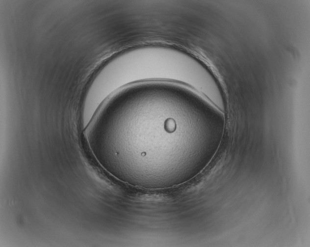 X0000115280063200911131837