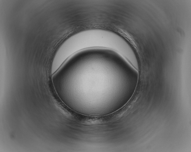 X0000115280065200911131837