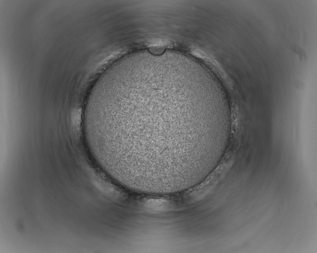 X0000115280066200911131837