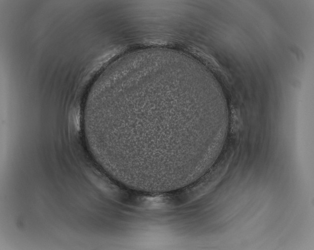 X0000115280068200911131837