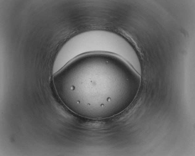 X0000115280069200911131837