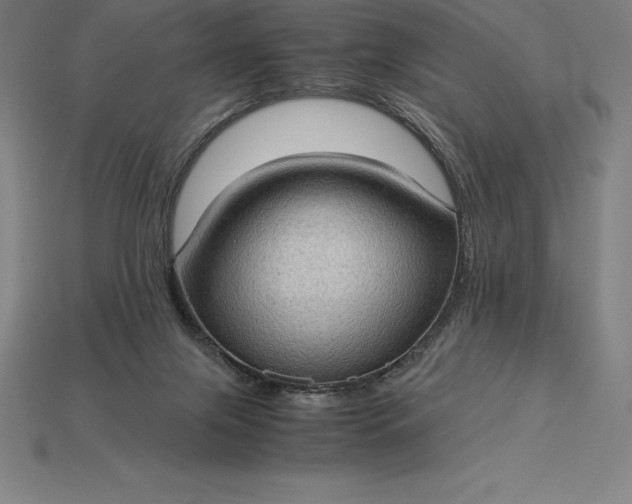 X0000115280071200911131837