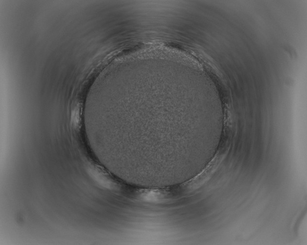 X0000115280074200911131837