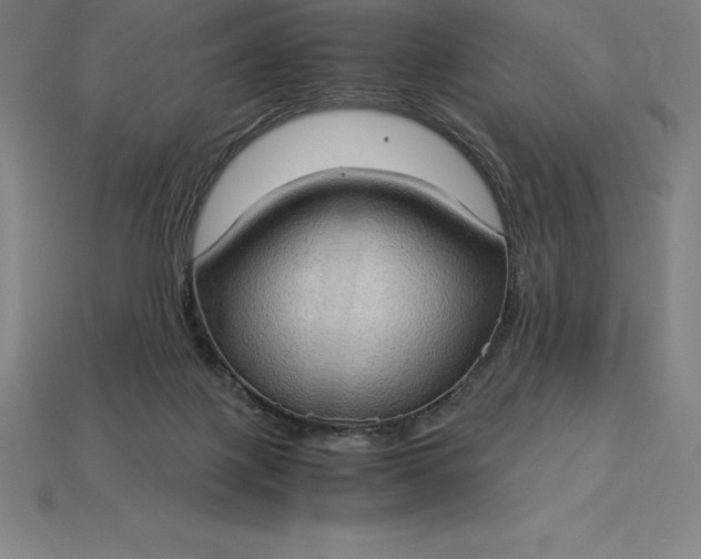 X0000115280075200911131837