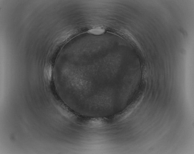 X0000115280076200911131837