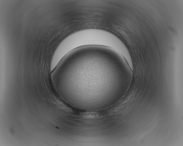 X0000115280077200911131838