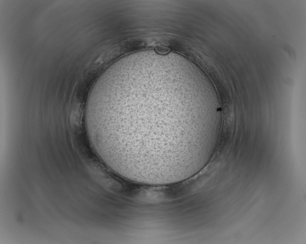 X0000115280078200911131838