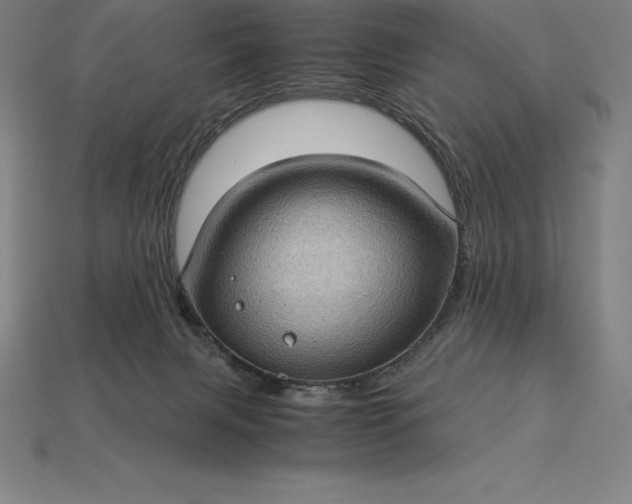 X0000115280079200911131838