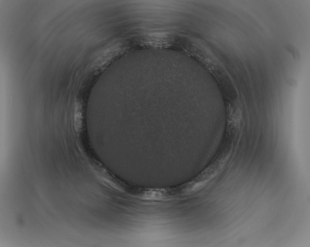 X0000115280080200911131838