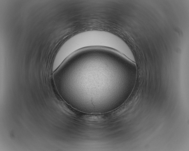 X0000115280081200911131838