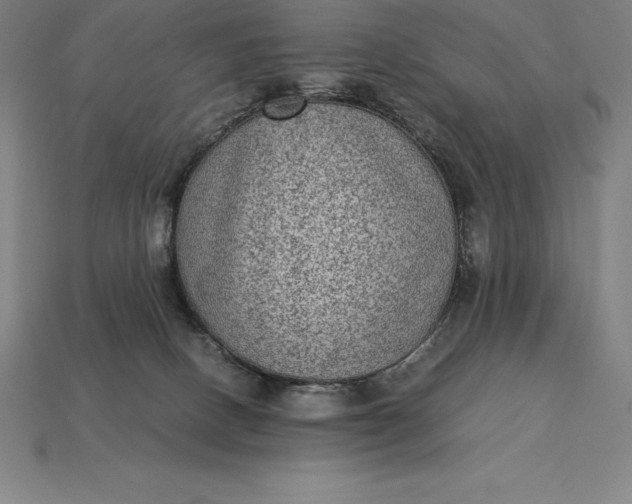 X0000115280082200911131838