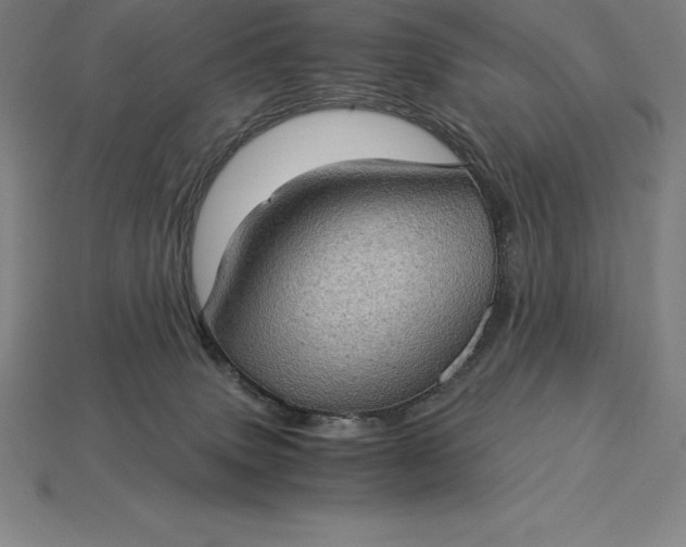 X0000115280083200911131838