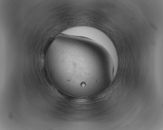 X0000115280085200911131838