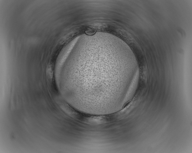 X0000115280086200911131838