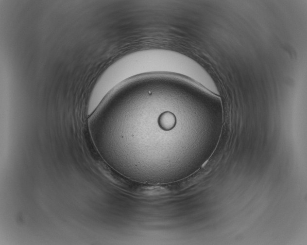 X0000115280087200911131838