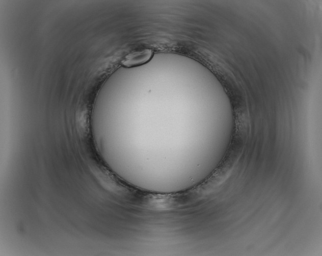 X0000115280088200911131838