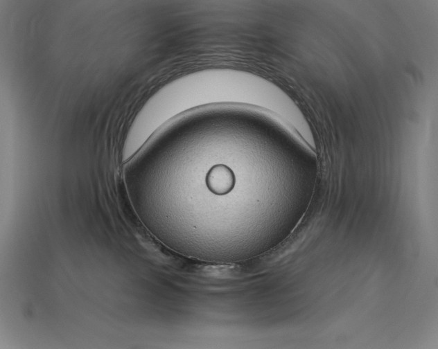 X0000115280089200911131838