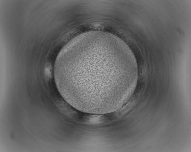 X0000115280090200911131838