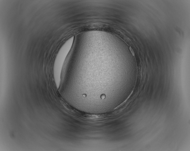 X0000115280091200911131838