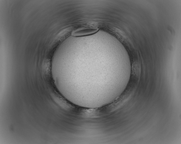 X0000115280092200911131838