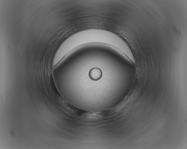 X0000115280093200911131838