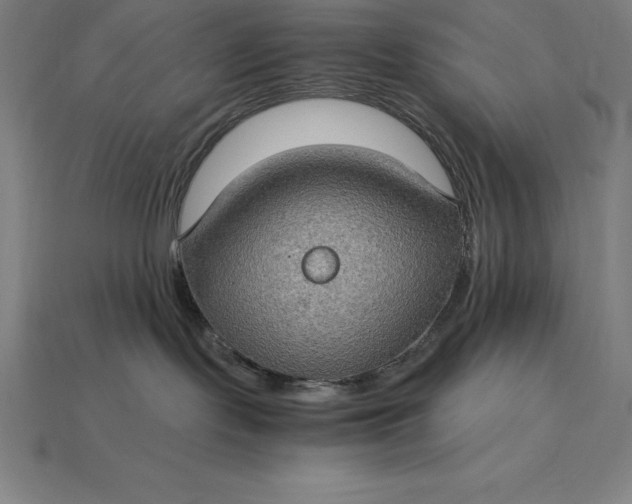 X0000115280095200911131838