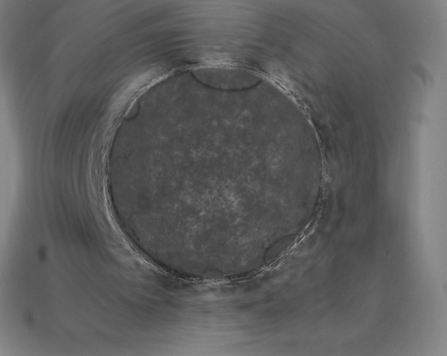 X0000115280097200911131837