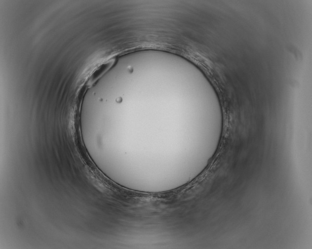 X0000115280098200911131837