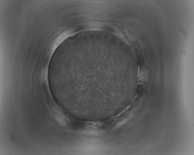 X0000115280099200911131837