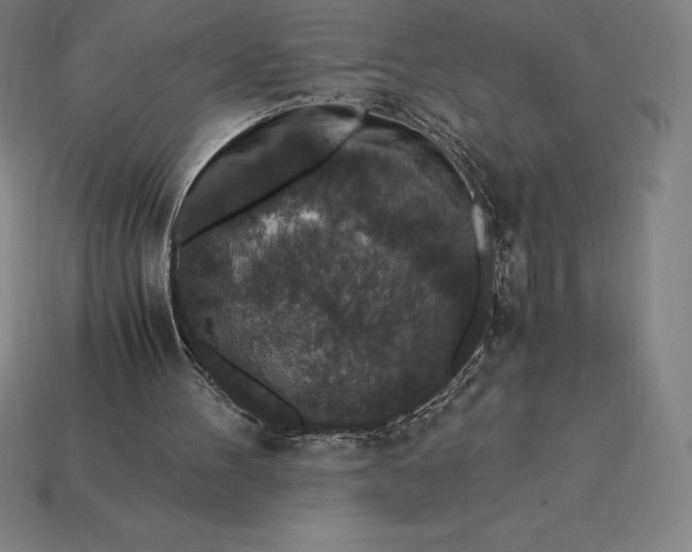 X0000115280100200911131837